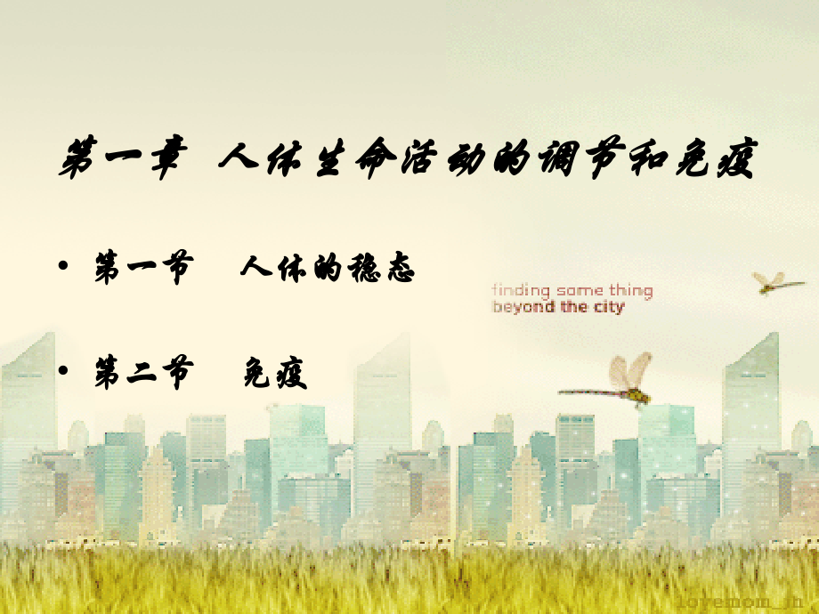 高三生物内环境与稳态.ppt_第1页