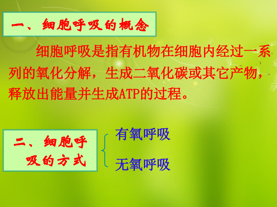 高中生物《第五章第三节ATP的主要来源细胞呼吸》课件5新人教版必修1.ppt_第1页