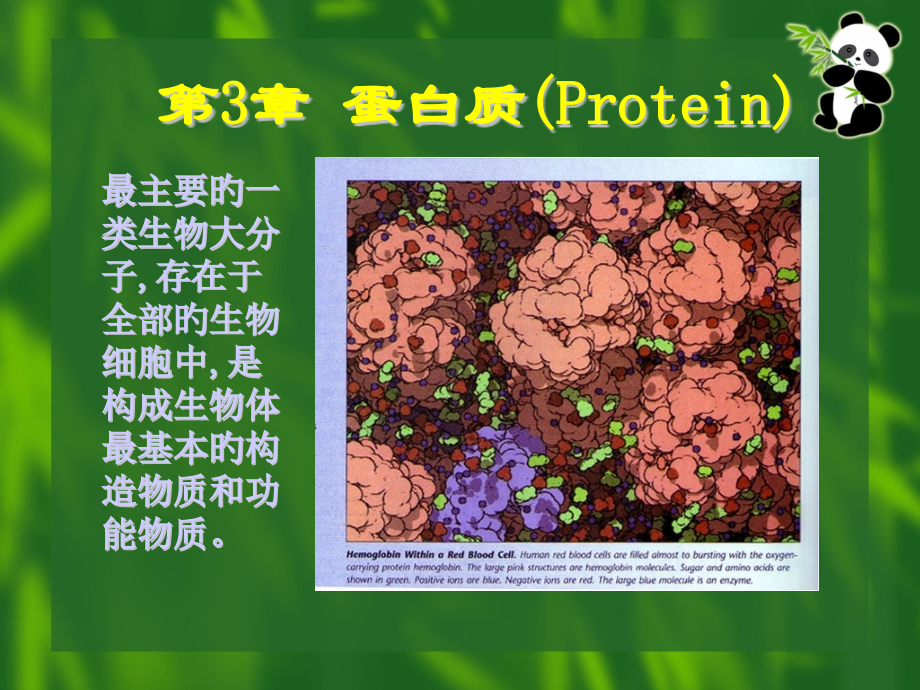 生物化学氨基酸和多肽.pptx_第1页