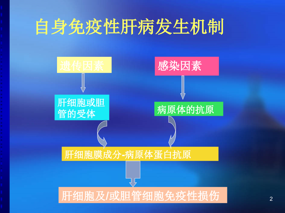 自身免疫性肝病张.ppt_第2页