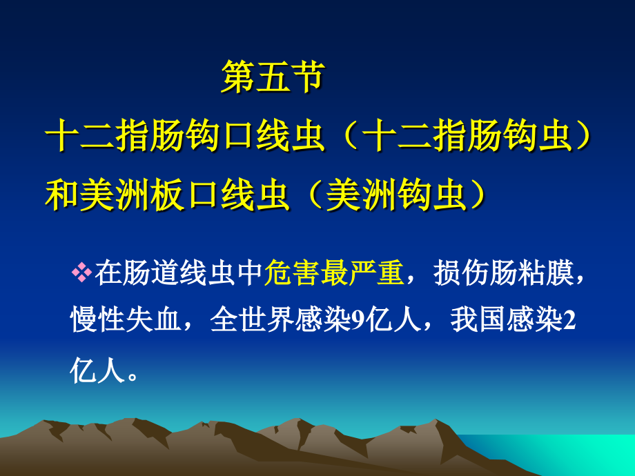 线虫3：钩虫.旋毛虫.ppt_第1页
