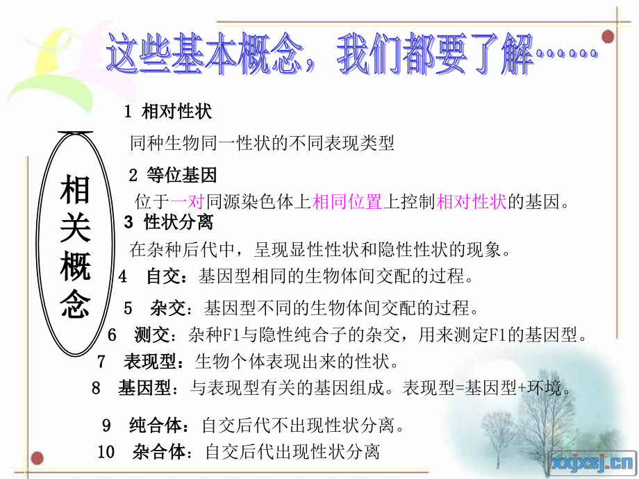 遗传定律、伴性遗传复习.ppt_第1页