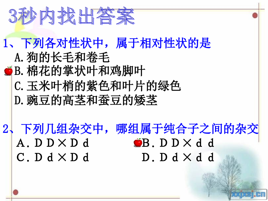 遗传定律、伴性遗传复习.ppt_第2页