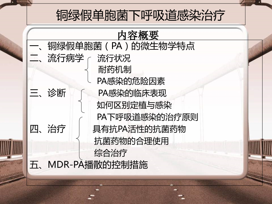 铜绿假单胞菌治疗.ppt_第2页