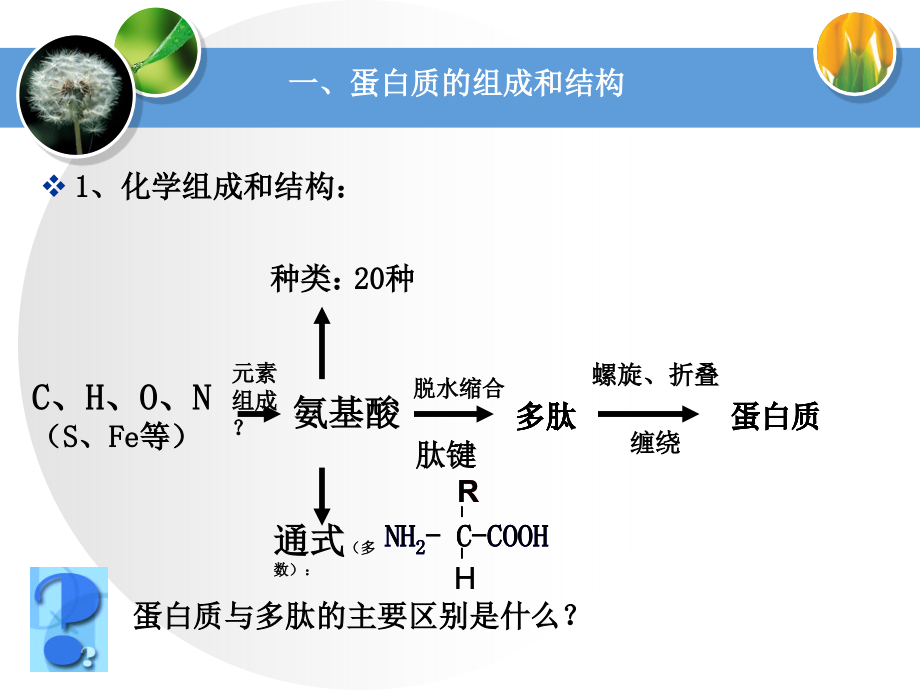 蛋白质专题复习.ppt_第2页