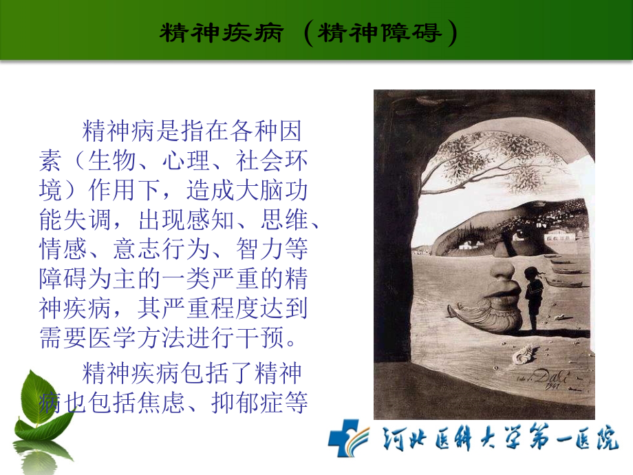 精神病基本知识.ppt_第2页