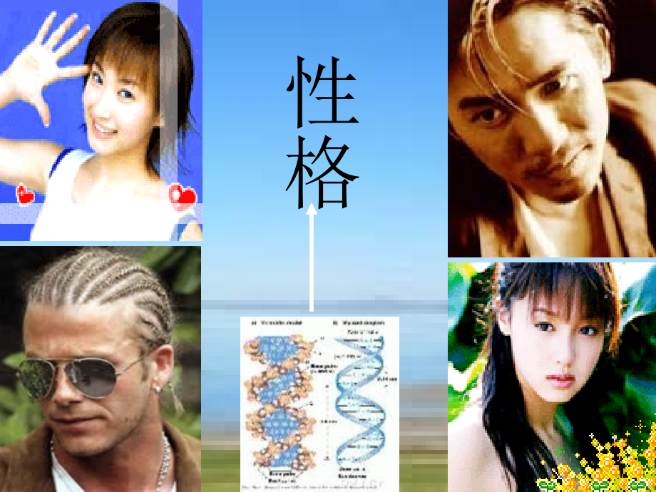 性格与基因有关吗.ppt_第2页