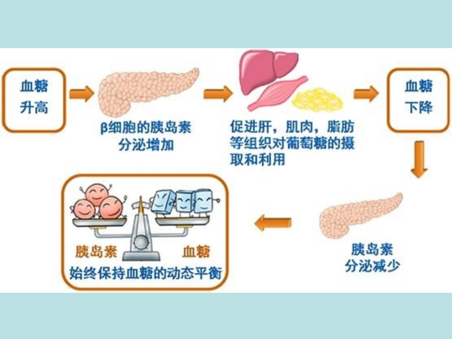 药物化学第十章降血糖药.ppt_第2页