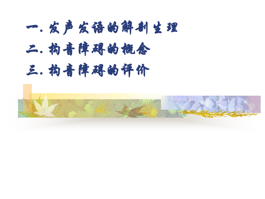 构音障碍的评估(2010.5).ppt_第2页