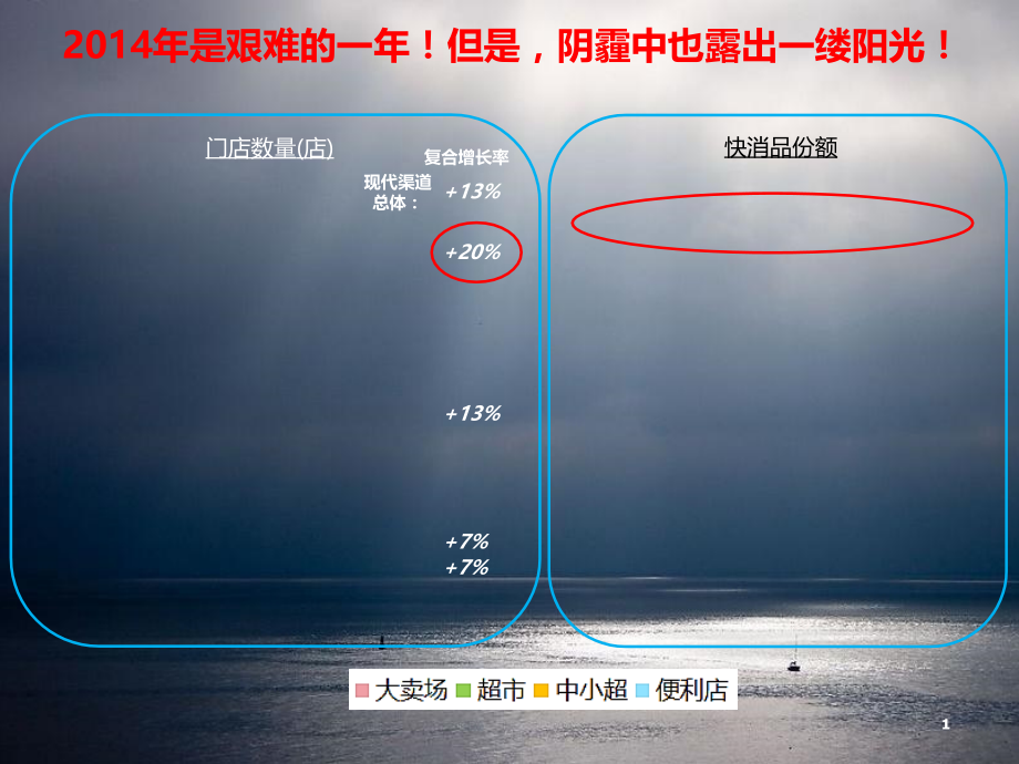 零售数据2015年CVS渠道策划方案.ppt_第2页