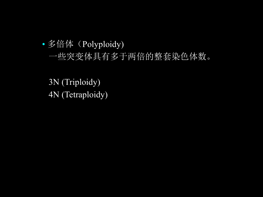 生导Part82.ppt_第2页