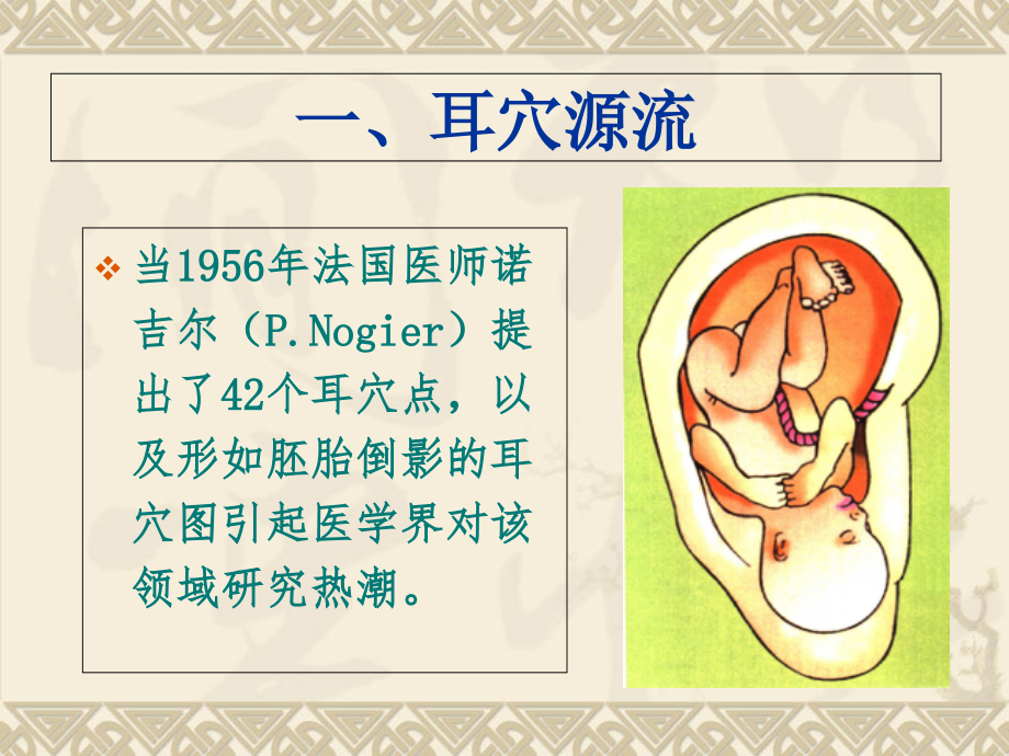 耳穴讲课.ppt_第1页