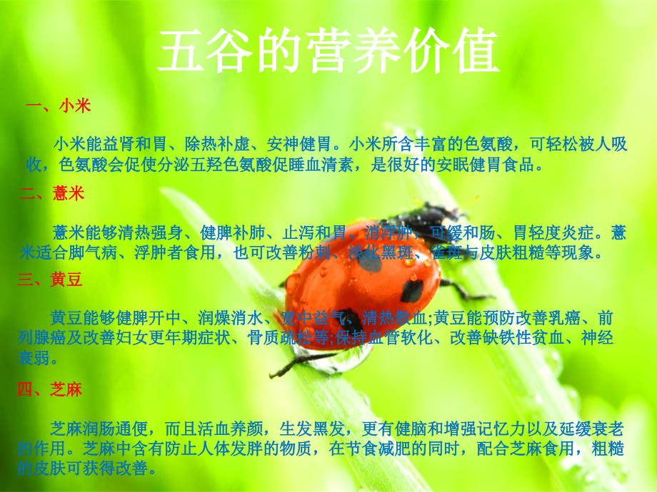 豆豆奇遇记.ppt_第2页