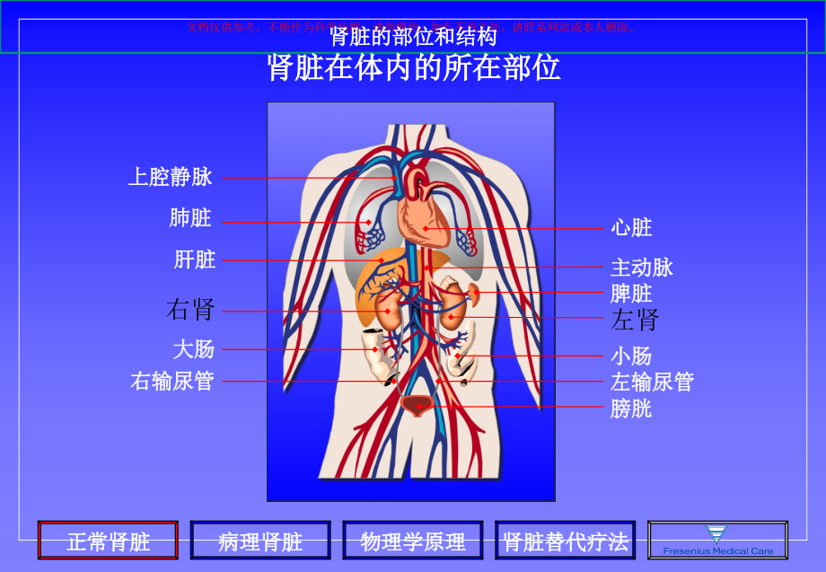 透析基本原理课件.ppt_第2页