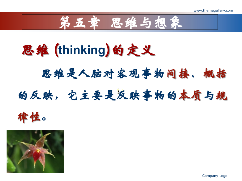 普通心理学思维与想象shangke.ppt_第2页