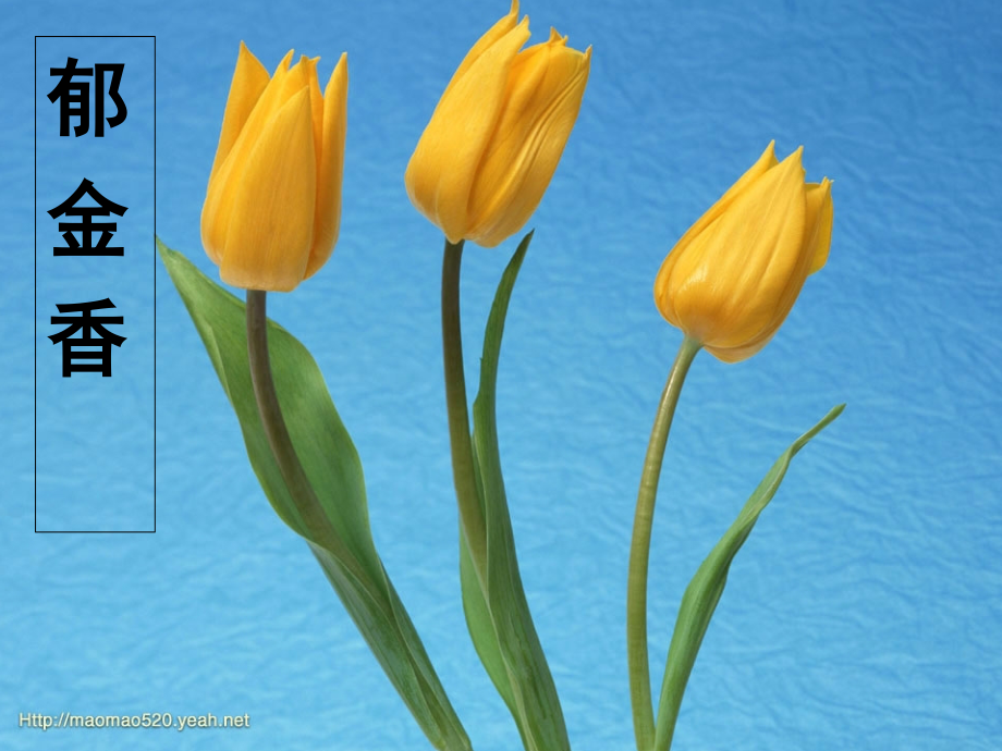 苏教版三年级语文下册《练习7》[1].ppt_第1页