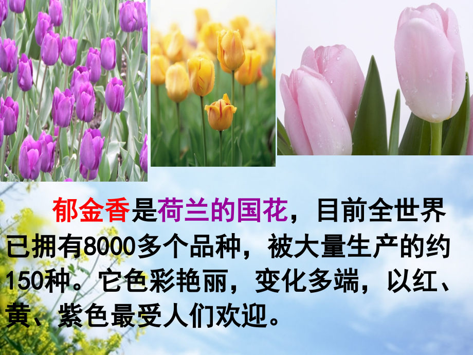 苏教版三年级语文下册《练习7》[1].ppt_第2页