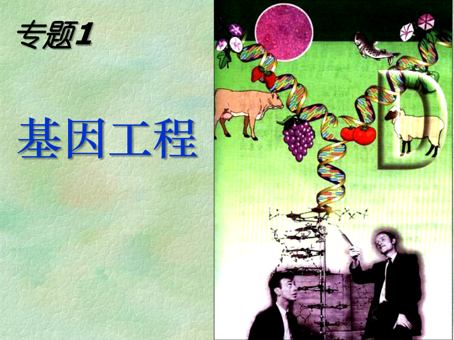 选修3.1DNA重组技术的基本工具.ppt_第1页