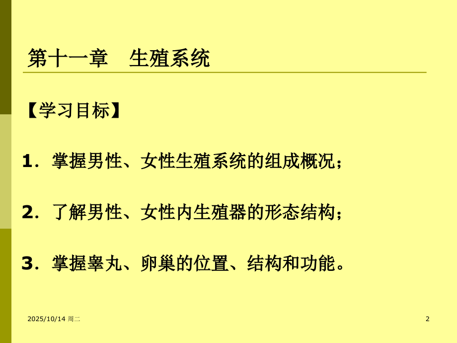 第十一章生殖系统.ppt_第2页