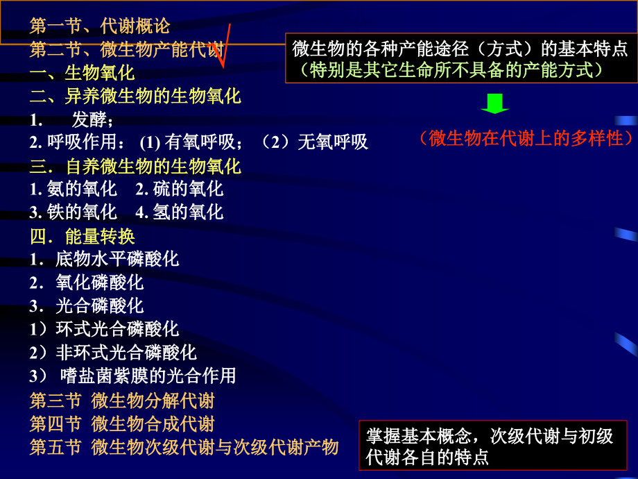 微生物的代谢医学讲座.ppt_第2页