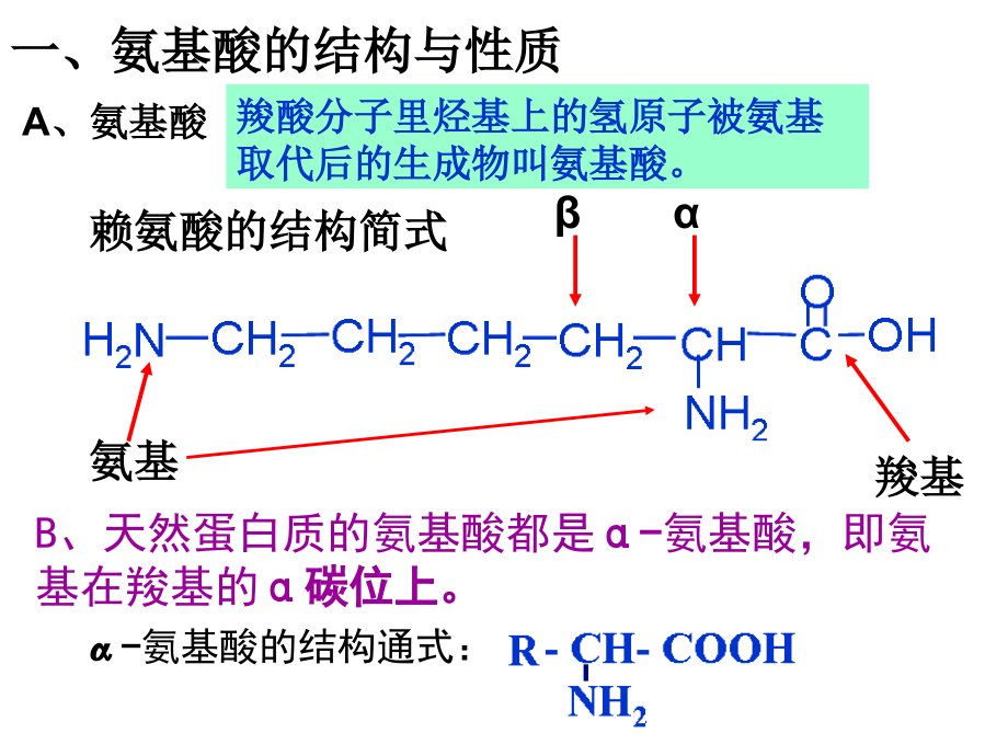 选修五有机化学基础第四章第三节蛋白质核酸.ppt_第2页