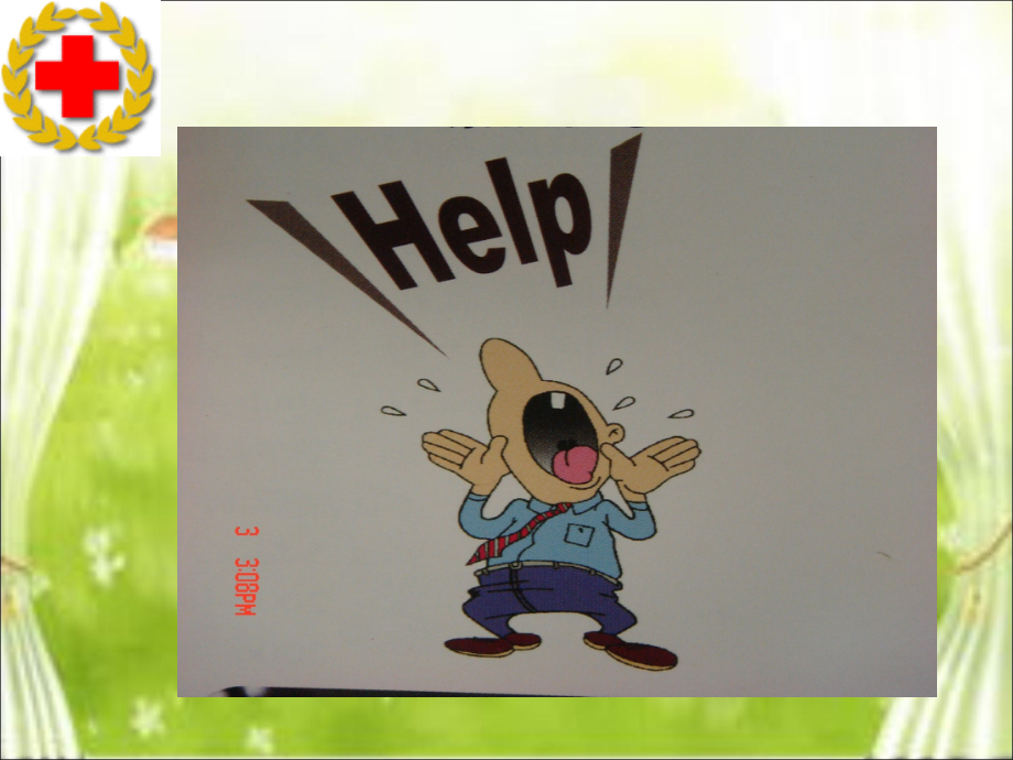 徒手心肺复苏术(TTP新).ppt_第2页