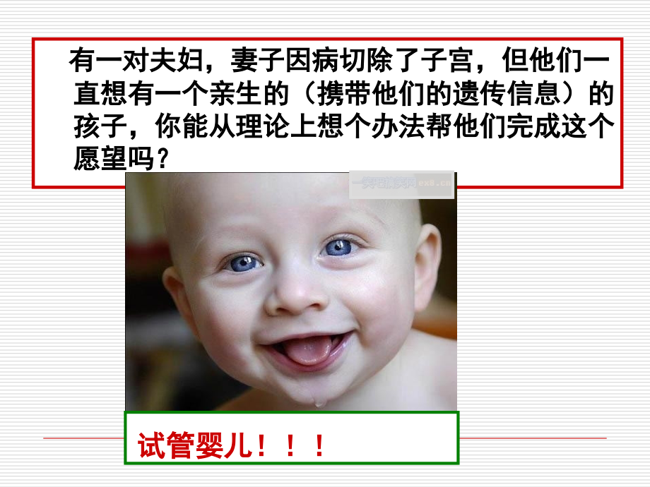 第一节体内受精和早期胚胎发育第一课时.ppt_第1页