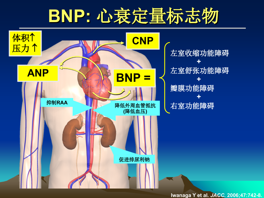 心衰诊断中BNP检测的临床应用评价(各国指南的差别).ppt_第1页