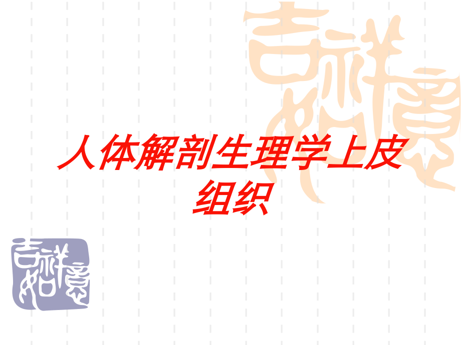 人体解剖生理学上皮组织培训课件.ppt_第1页