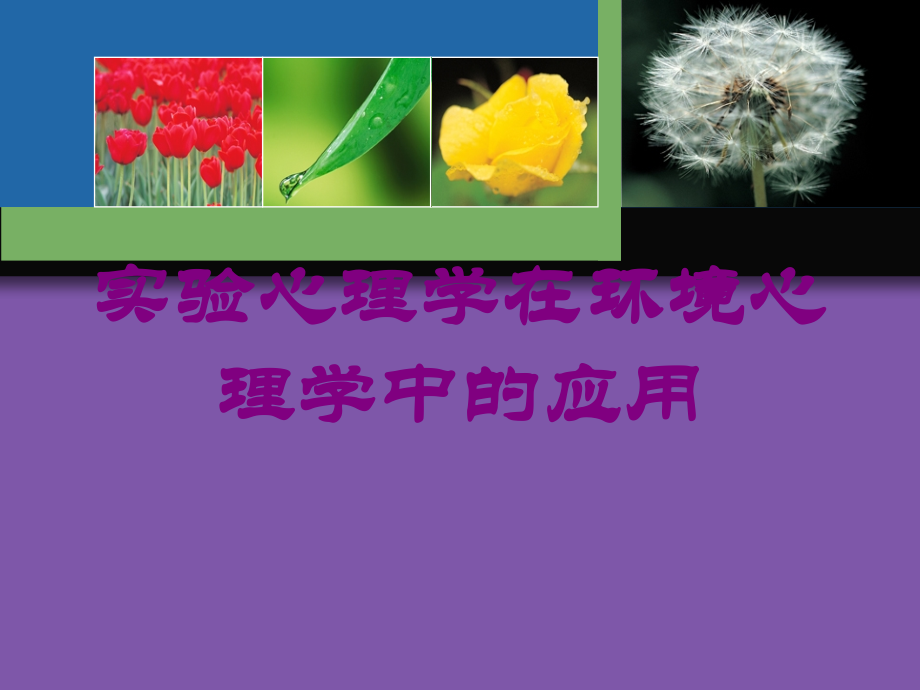 实验心理学在环境心理学中的应用培训课件.ppt_第1页