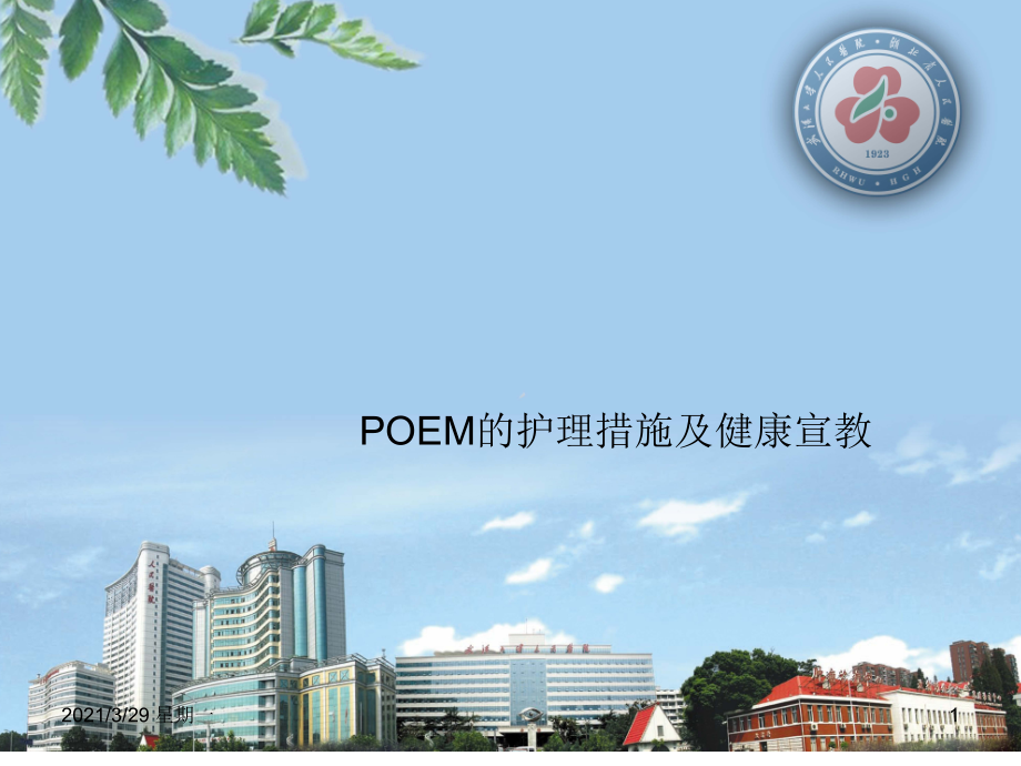 POEM护理及健康宣教.ppt_第1页