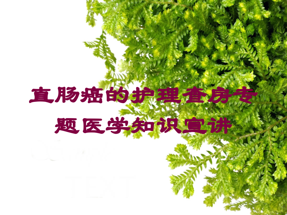 直肠癌的护理查房专题医学知识宣讲培训课件.ppt_第1页