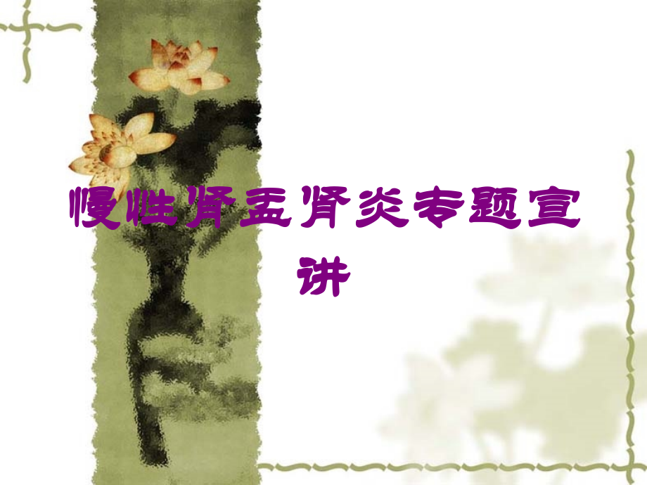 慢性肾盂肾炎专题宣讲培训课件.ppt_第1页