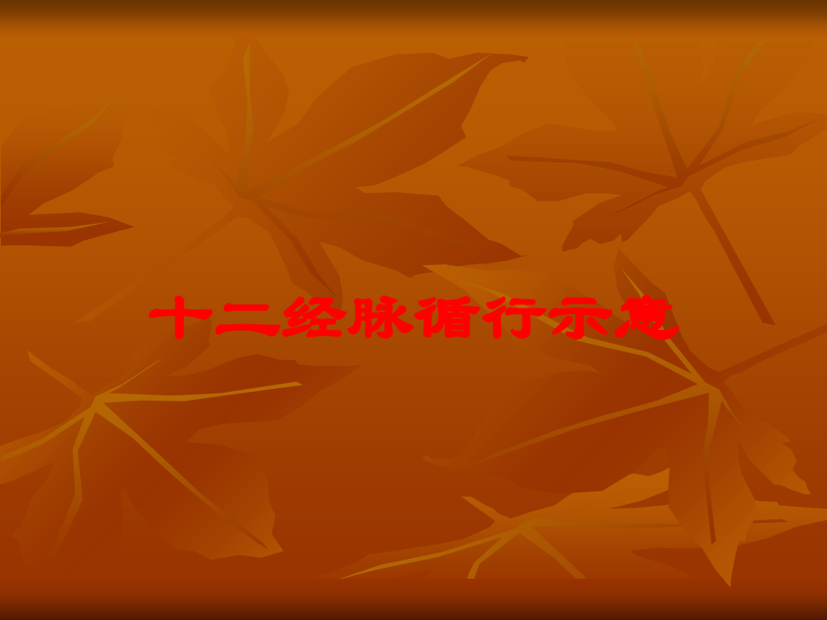 十二经脉循行示意培训课件.ppt_第1页