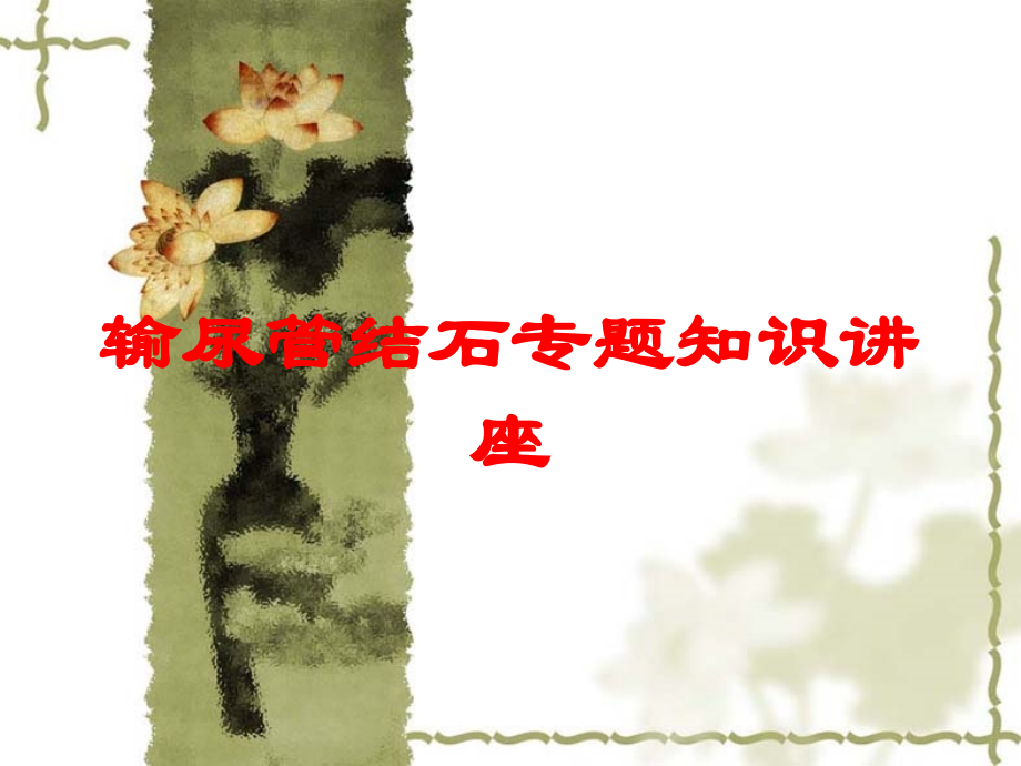 输尿管结石专题知识讲座培训课件.ppt_第1页