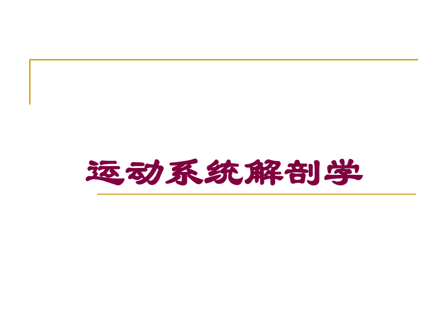 运动系统解剖学培训课件.ppt_第1页