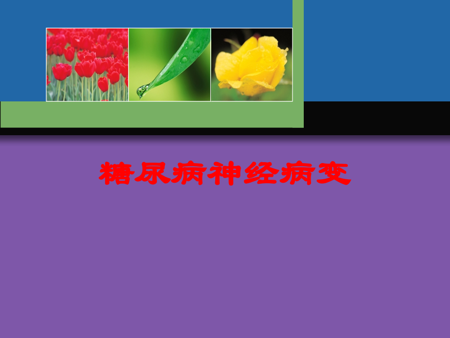 糖尿病神经病变课件.ppt_第1页