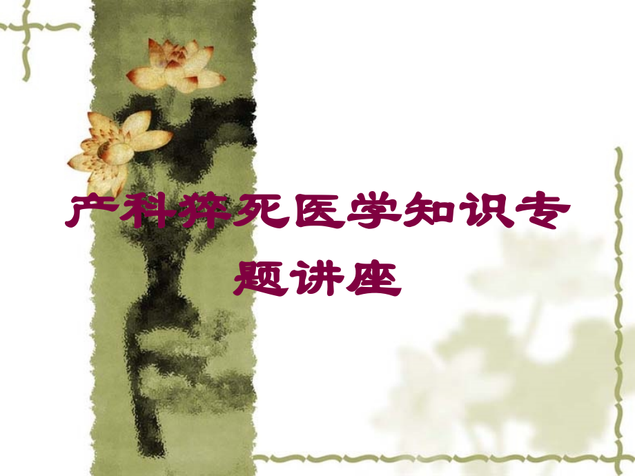 产科猝死医学知识专题讲座课件.ppt_第1页