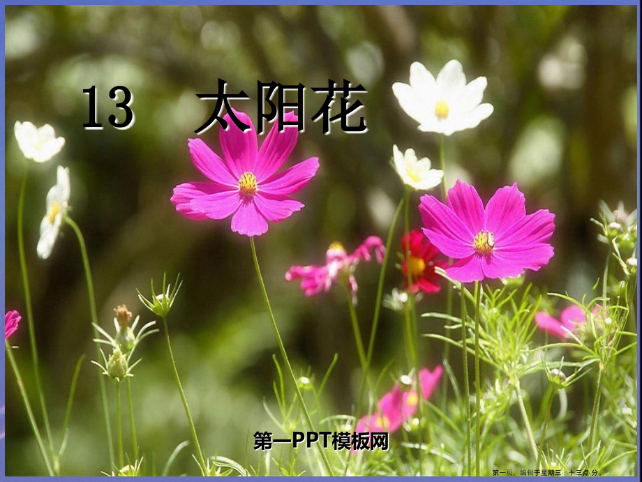 2022春湘教版语文一下《太阳花》ppt课件2.ppt_第1页