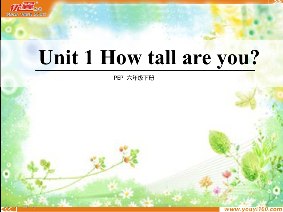 BLet’swrapitup&CStorytime市公开课一等奖课件名师大赛获奖课件.pptx_第1页