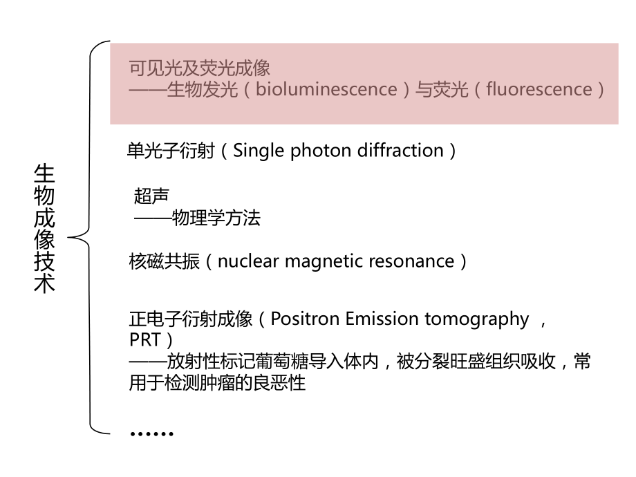 干细胞和组织工程成像技术.ppt_第1页