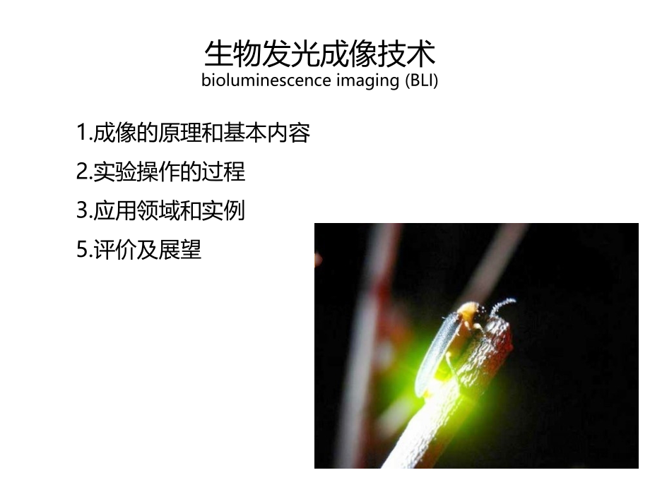 干细胞和组织工程成像技术.ppt_第2页