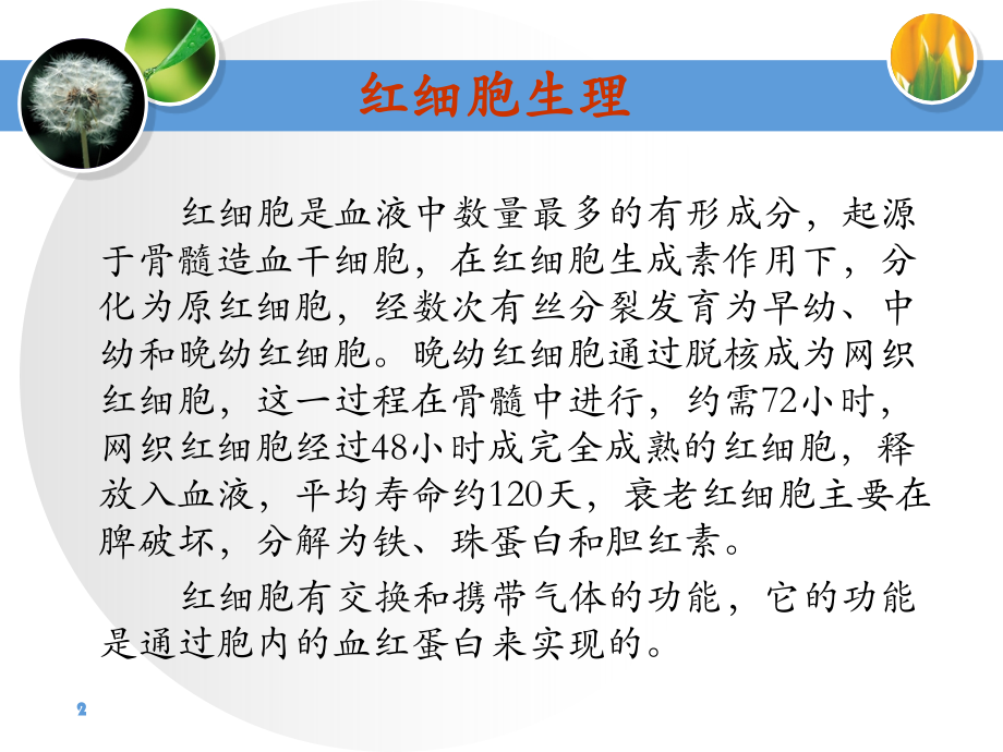 红细胞临床意义.ppt_第2页