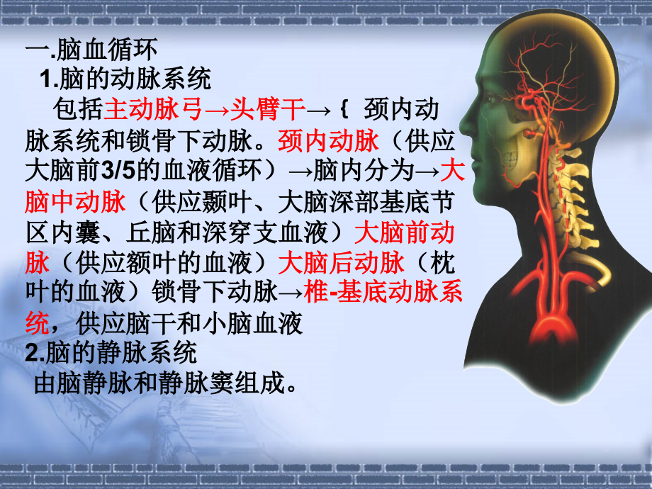 脑血管疾病脑梗塞的分型治疗.ppt_第1页