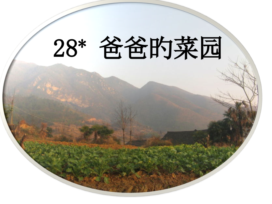 《父亲的菜园》-公开课用省公开课获奖课件市赛课比赛一等奖课件.pptx_第1页