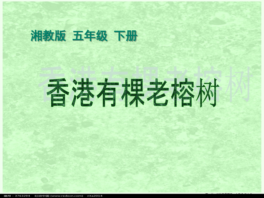 2022春湘教版语文五上《香港有棵老榕树》ppt课件2.ppt_第1页