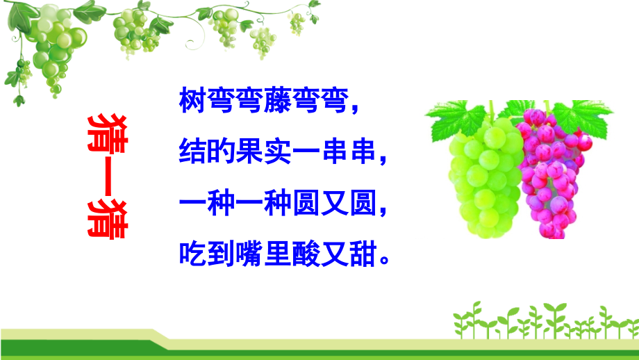 11葡萄沟部编版市公开课获奖课件省名师示范课获奖课件.pptx_第1页