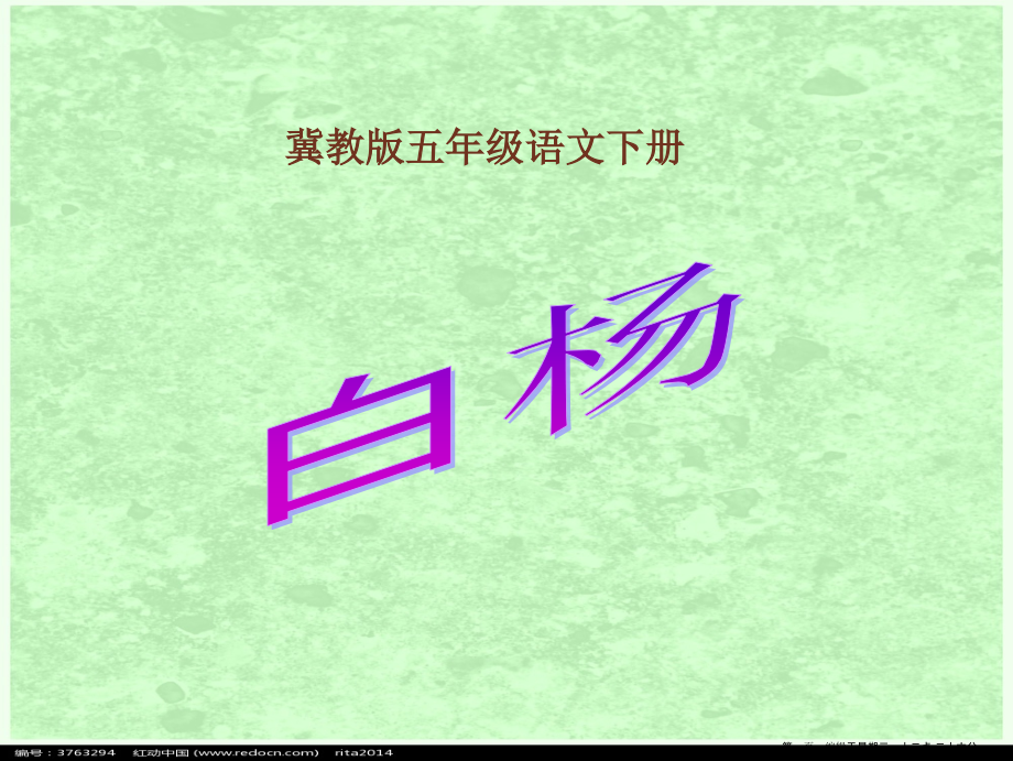 2022春冀教版语文五下《白杨》ppt课件.ppt_第1页