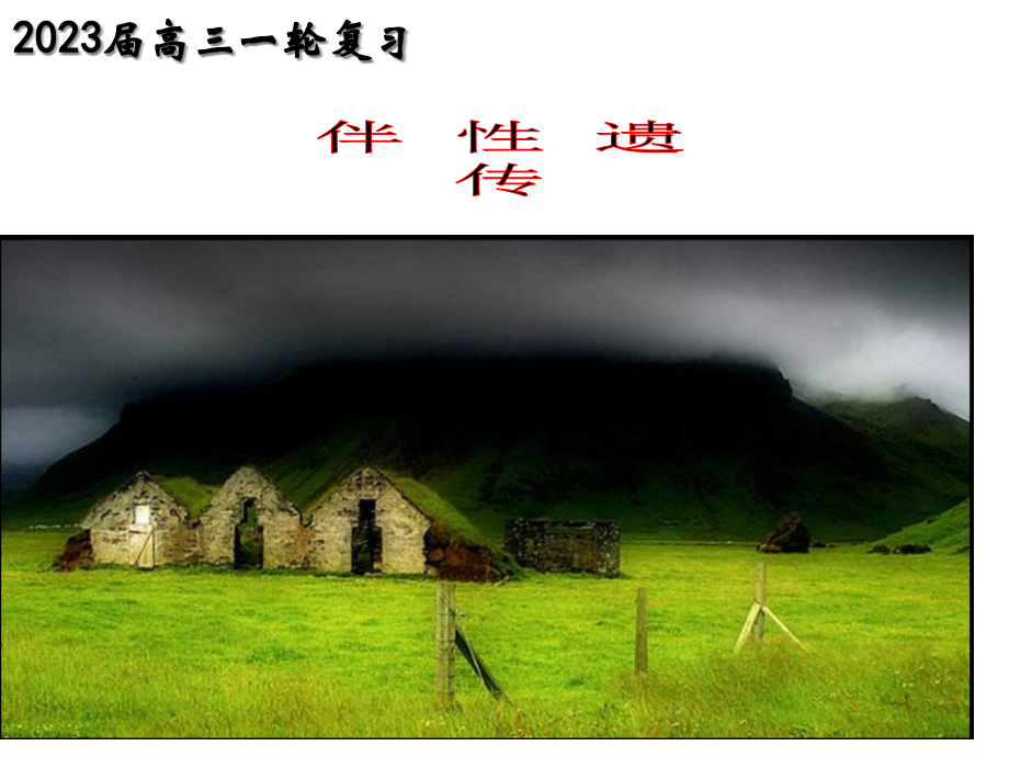伴性遗传(高三生物一轮复习)省名师优质课赛课获奖课件市赛课一等奖课件.pptx_第1页