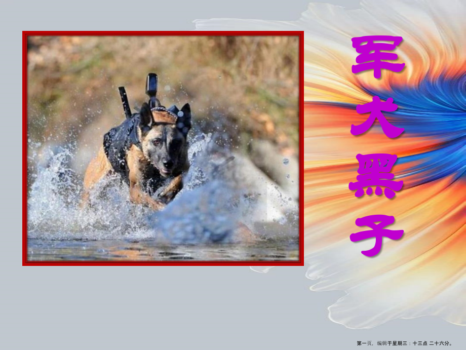 2022春湘教版语文六下《军犬黑子》ppt课件4.ppt_第1页